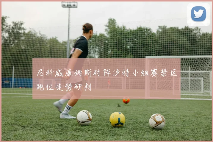 尼科威廉姆斯对阵沙特小组赛禁区跑位走势研判