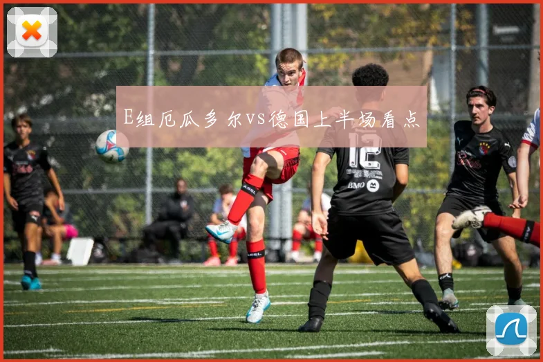 E组厄瓜多尔vs德国上半场看点