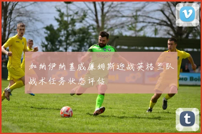 加纳伊纳基威廉姆斯迎战英格兰队战术任务状态评估