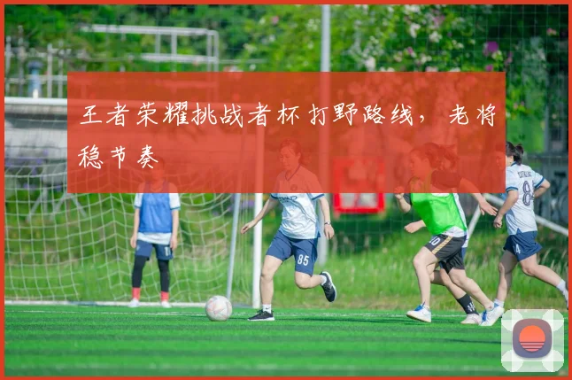 王者荣耀挑战者杯打野路线，老将稳节奏
